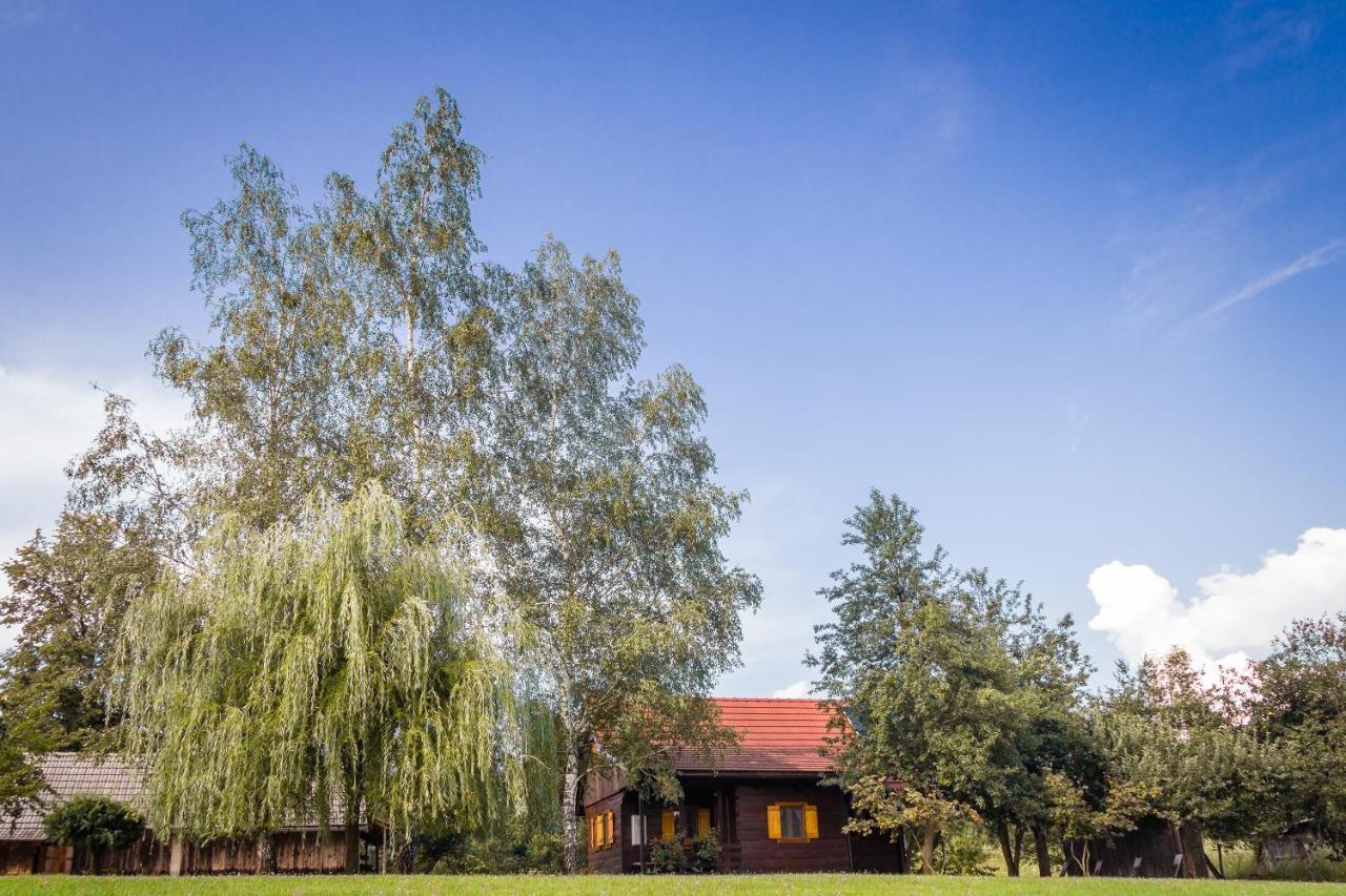 Villa Kuca Za Odmor Cindric à Slunj Extérieur photo