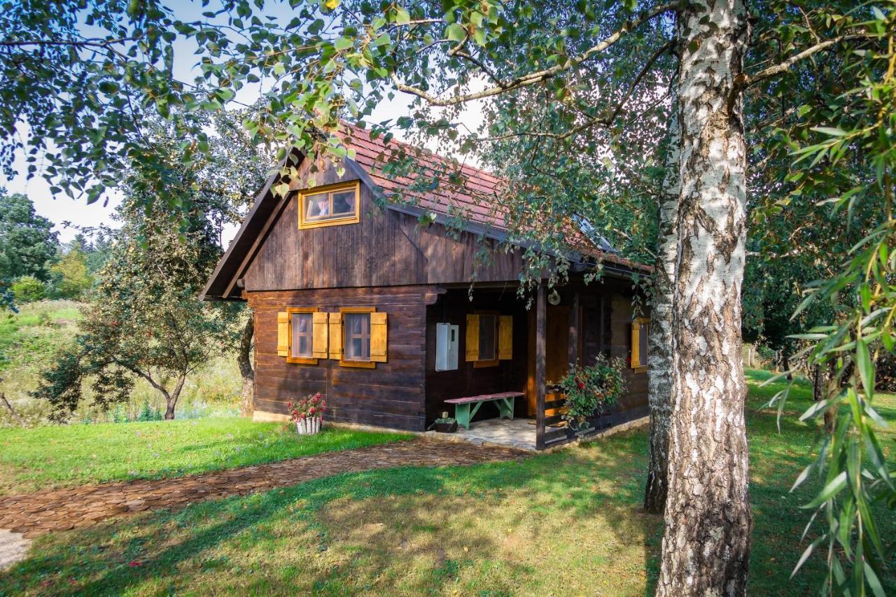 Villa Kuca Za Odmor Cindric à Slunj Extérieur photo